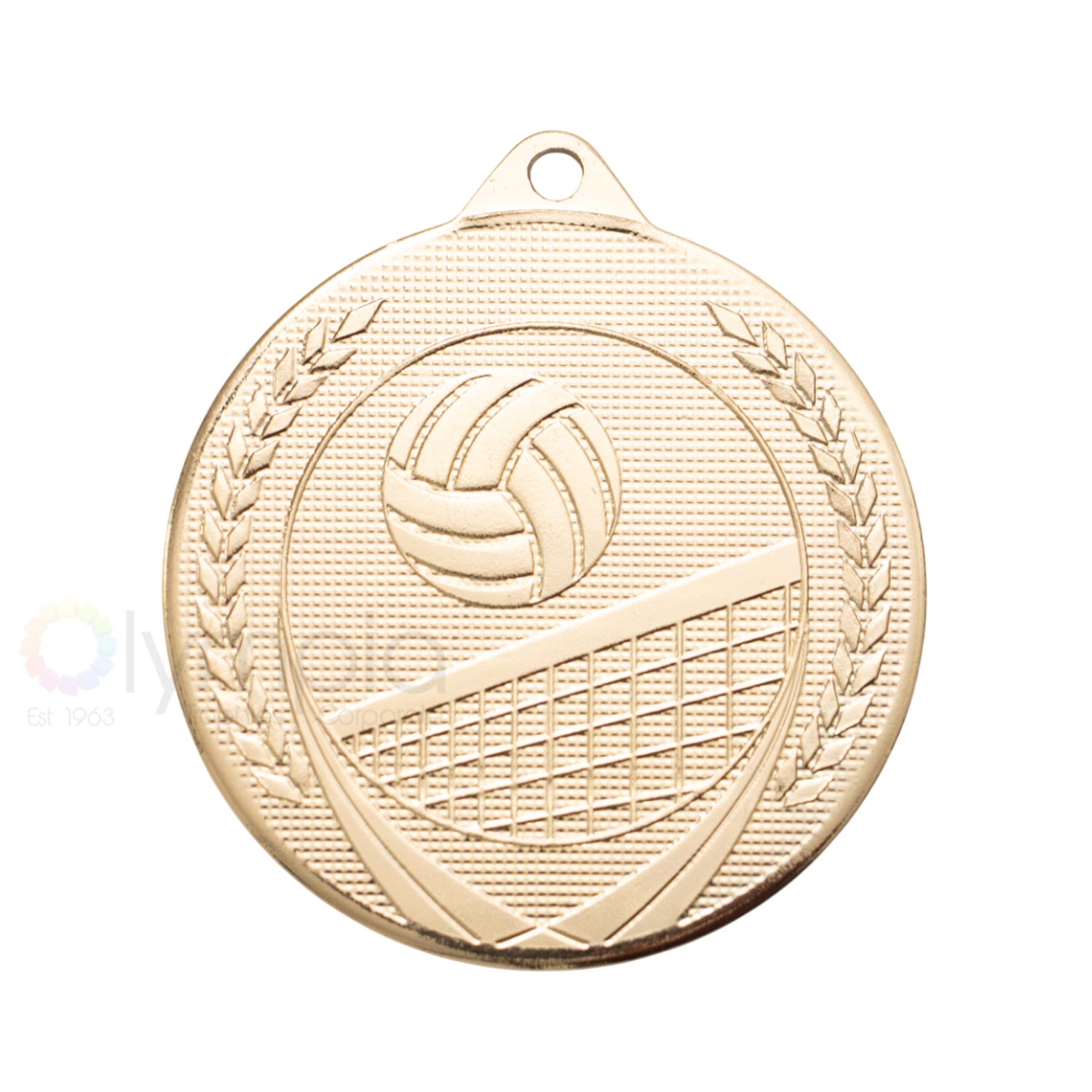 Volleyball Achievement Medal