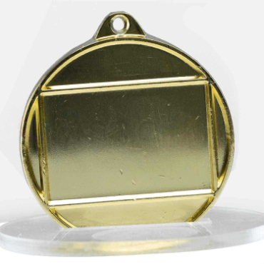 1074-8gvp-back