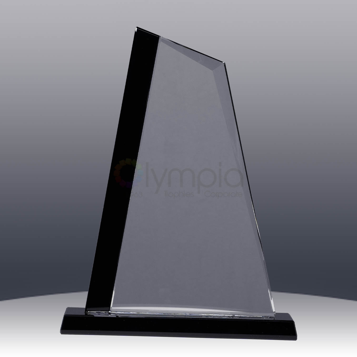 1385-3bk-back
