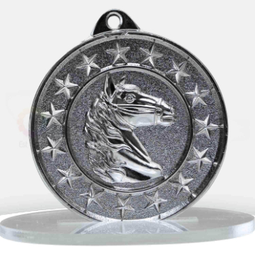 3c1074-29svp-silver-front