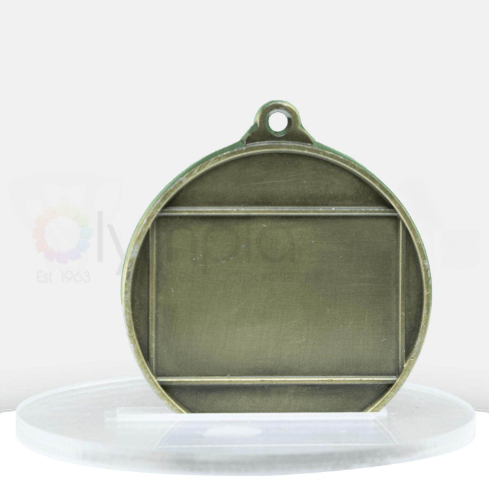 5c1076-11g-gold-back