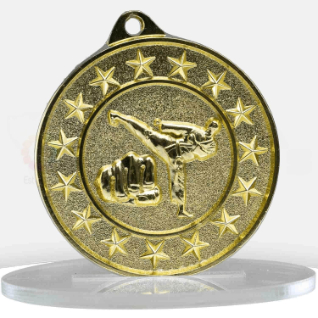 Shooting Star Series Martial Arts Medal