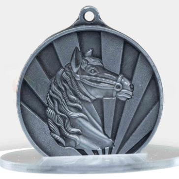 6c1076-29s-silver-front