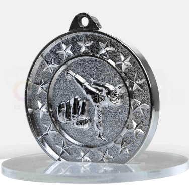 6d1074-11svp-silver-side