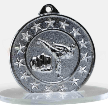 6e1074-11svp-silver-front