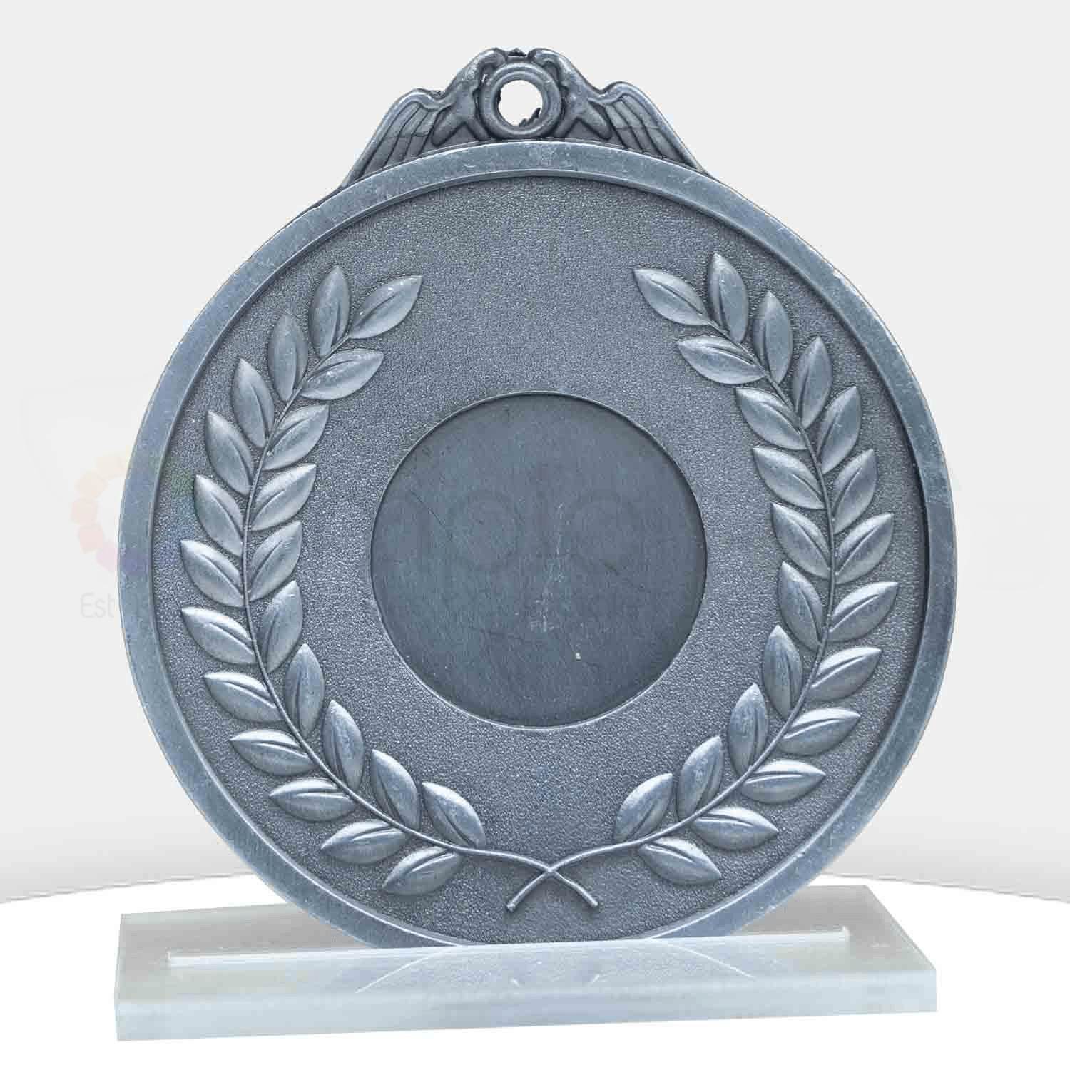 88e1079s-silver-front