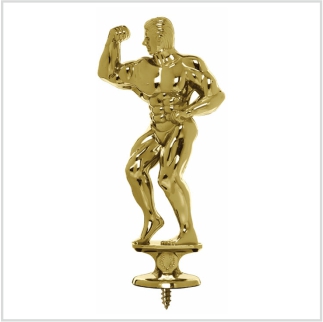 431G - Bodybuilding Figure-Male